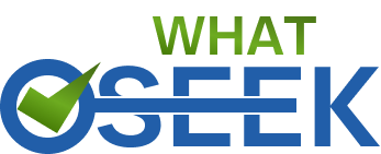 what seek logo